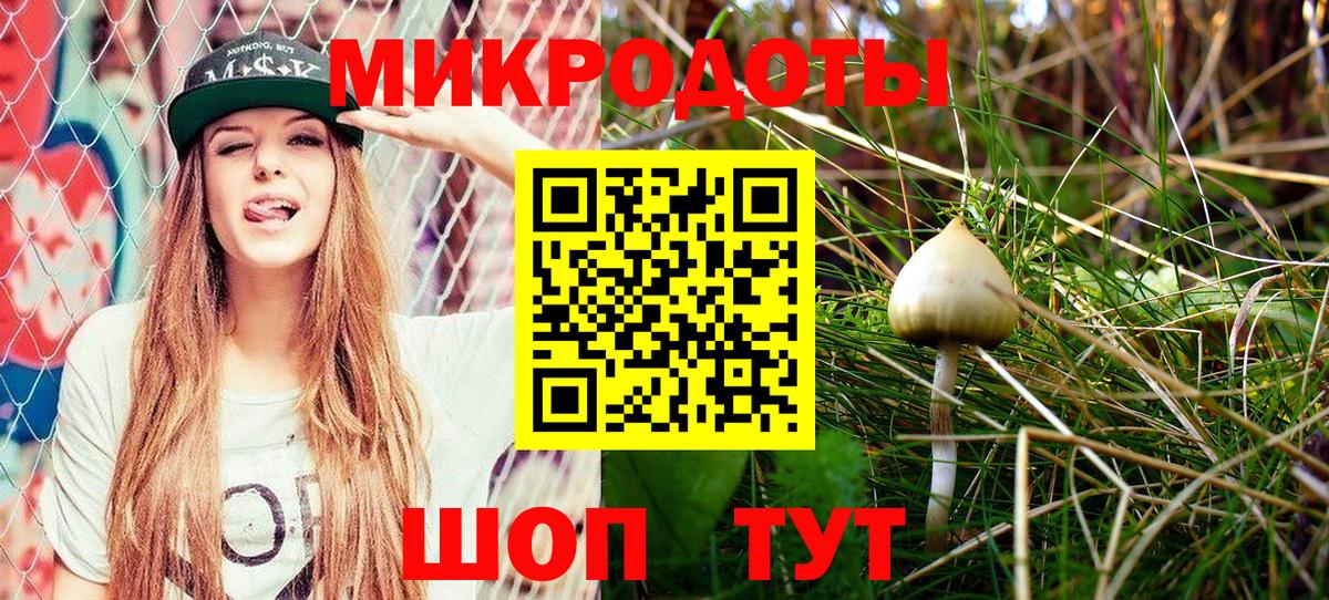 Бузулук  Галлюциногенные грибы Psilocybe  Вход с VPN 